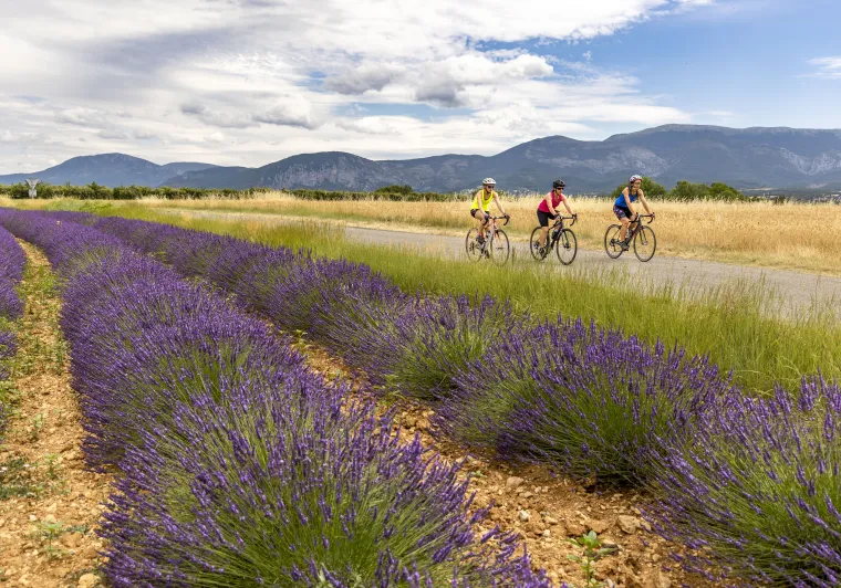 vélo route haute provence