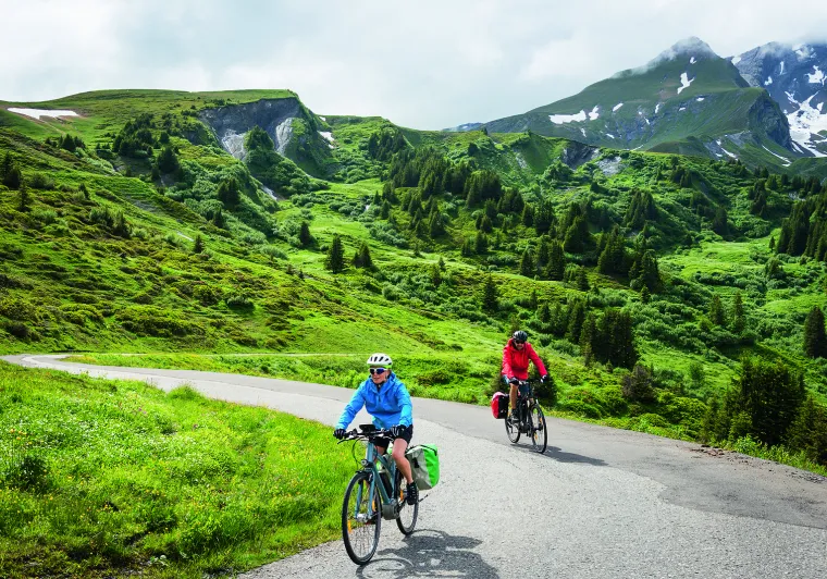 Bicicleta de montaña asistida eléctricamente con BOSCH