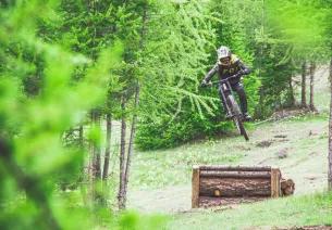 Bicicleta de montaña Valberg