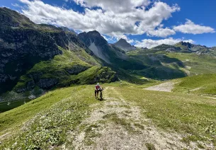 Route des Grandes Alpes Gravel